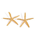 Tidal Gold Earrings